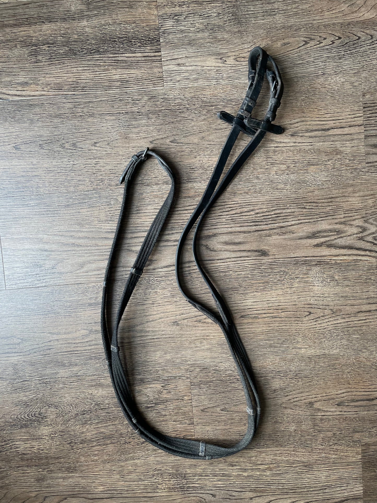 Rênes cuir /nylon noir