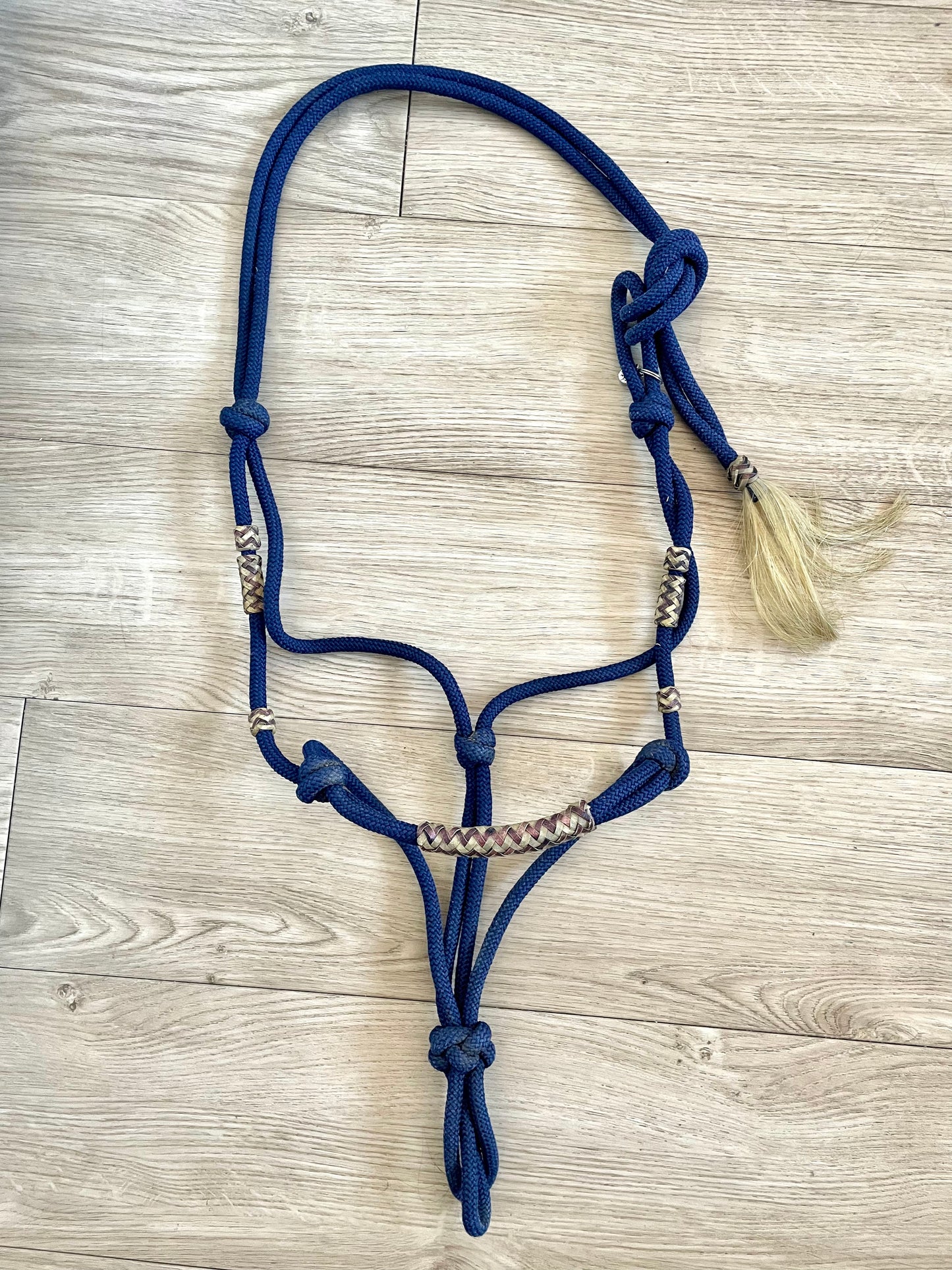 Licou éthologique