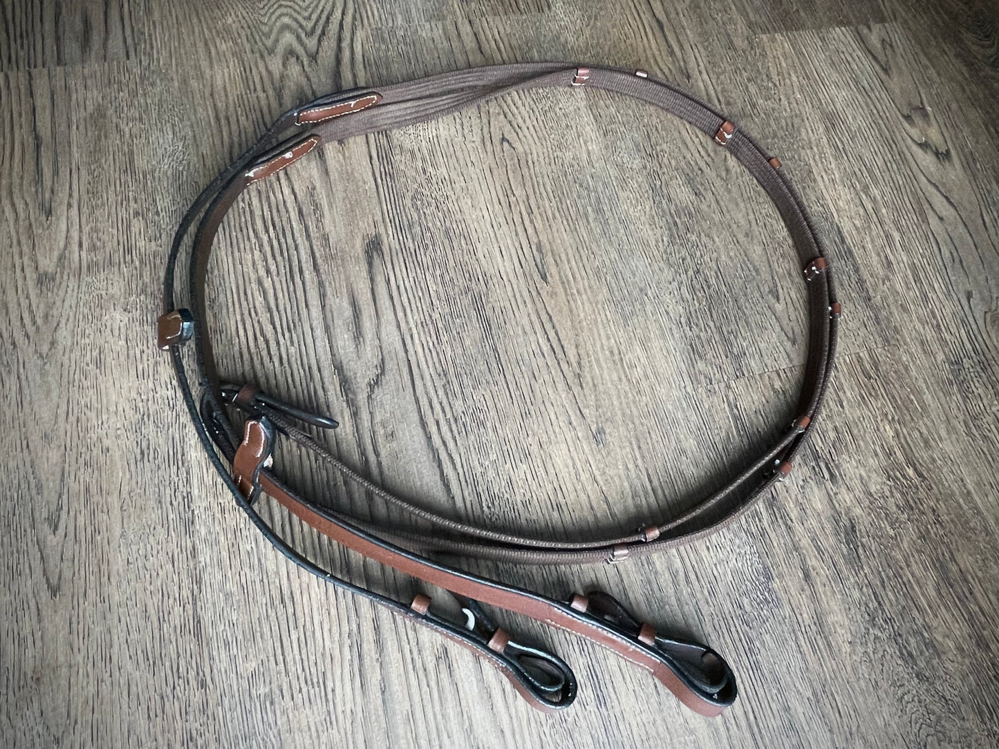Rênes cuir et nylon