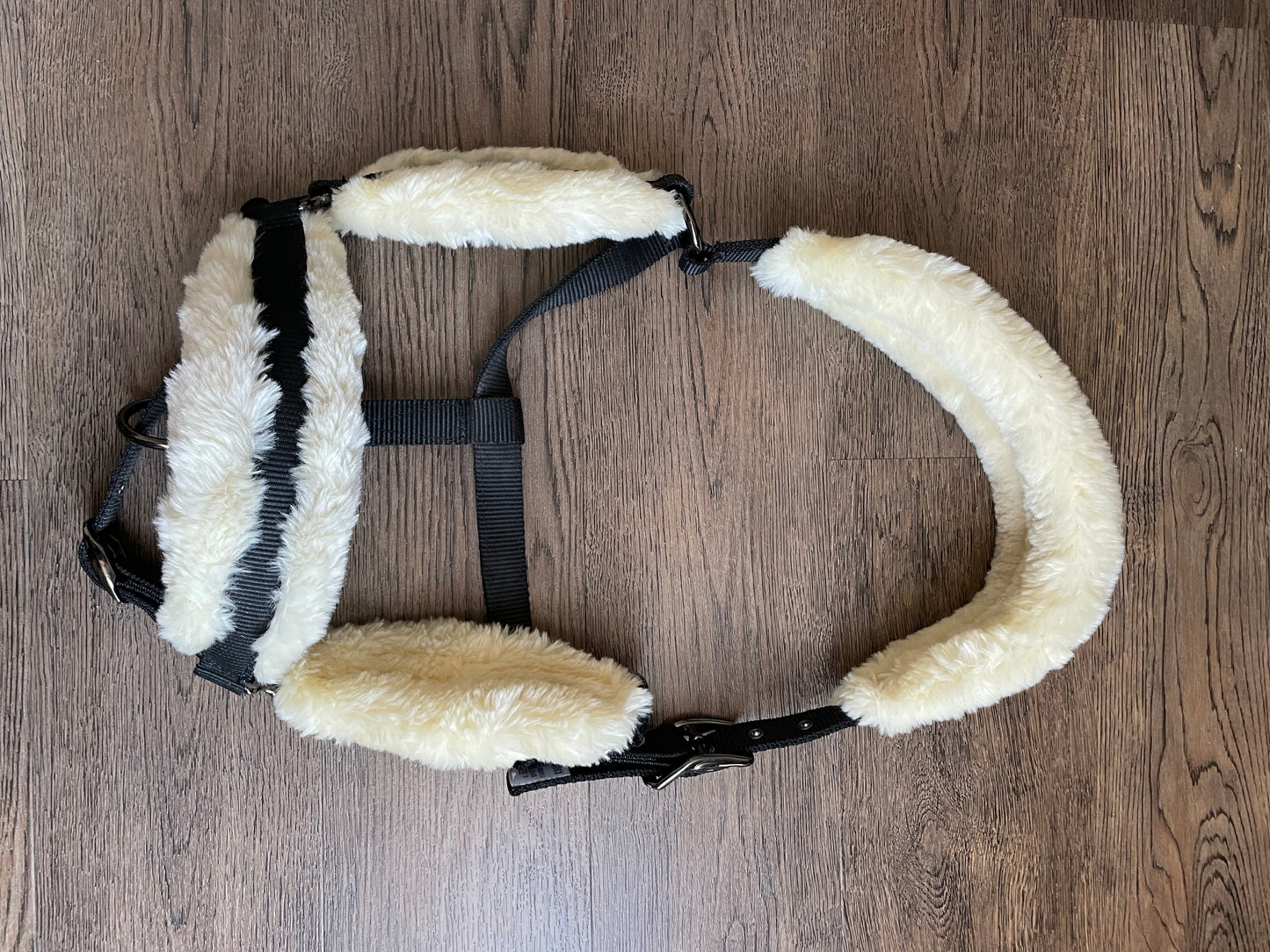 Licou mouton Fouganza *NEUF* gr. Full