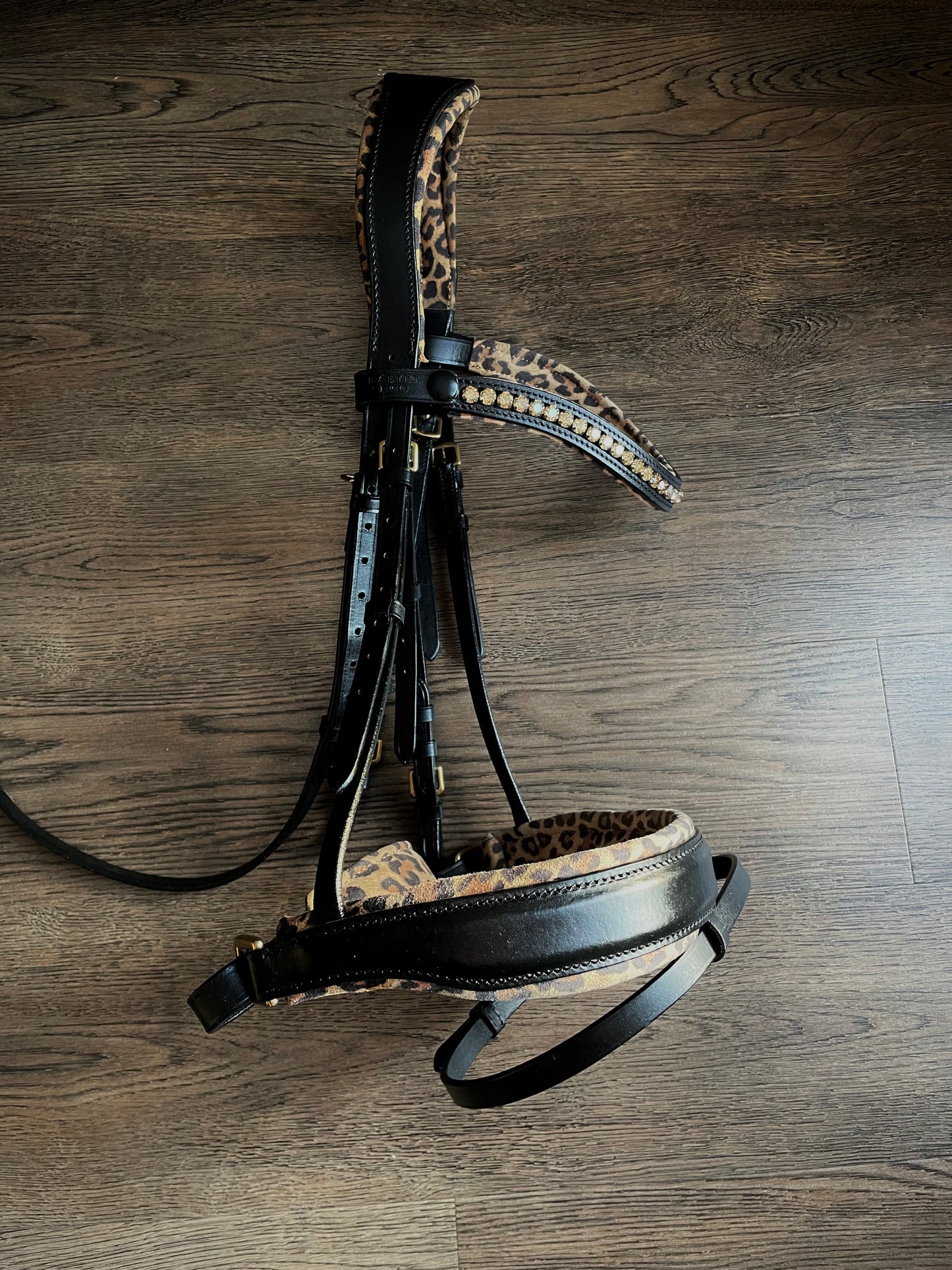 Bride dressage de collection Halter Ego