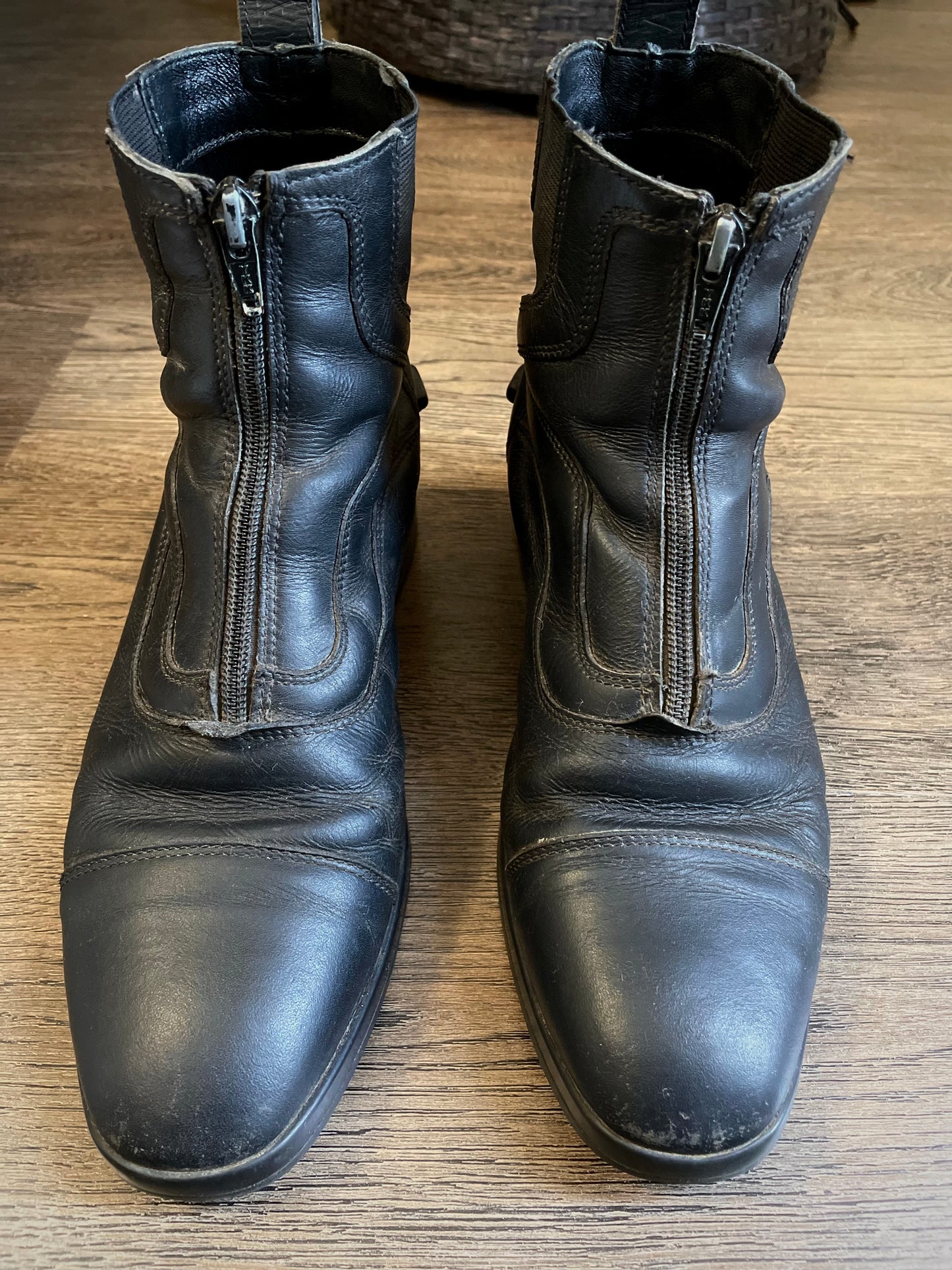 Paddock boots gr. 8 (39 EU)