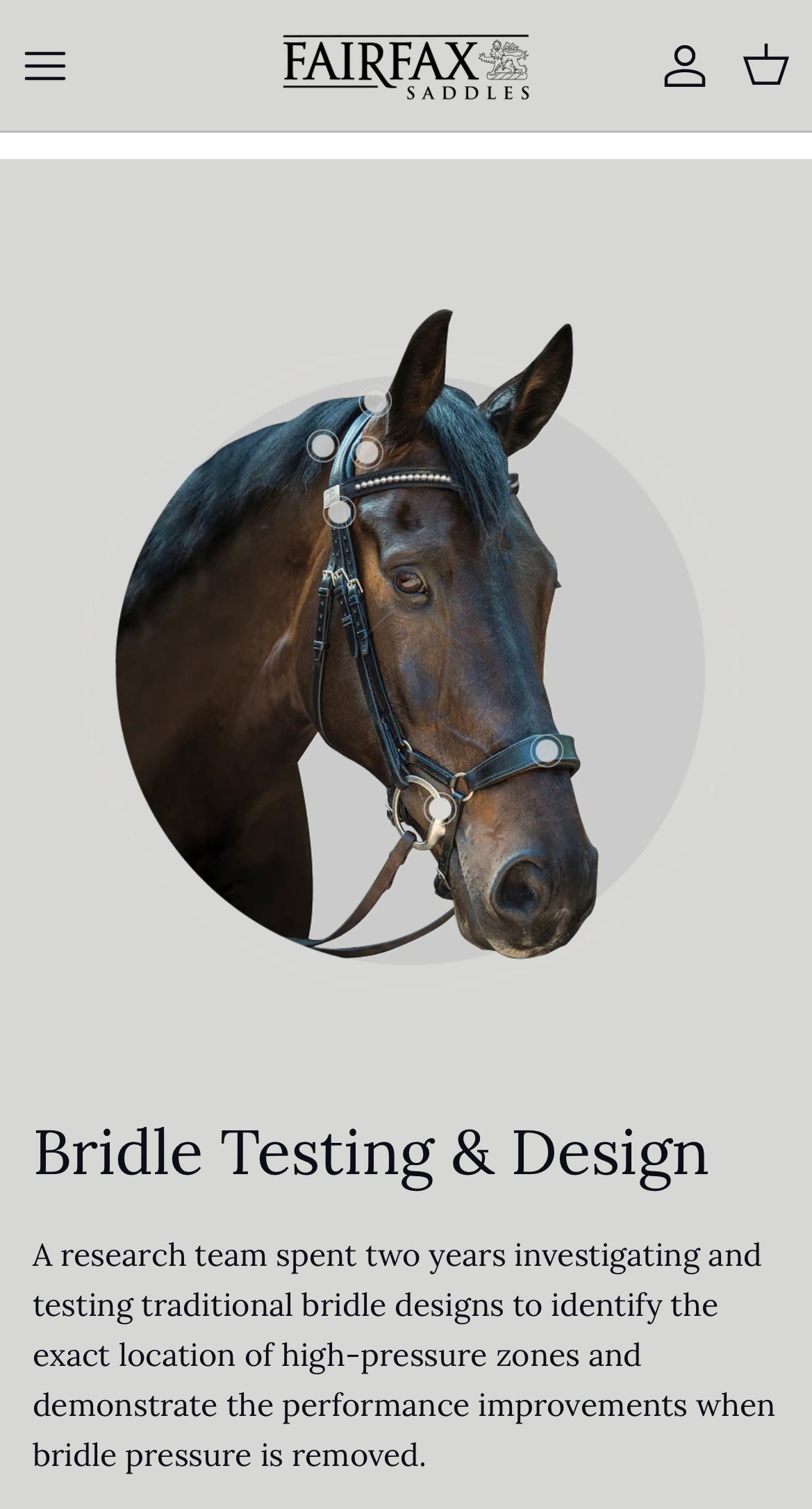 Bride dressage ⚜️FAIRFAX⚜️