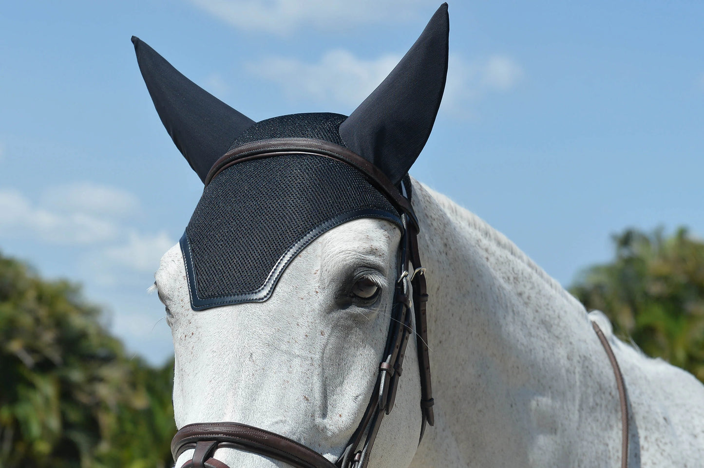 Bonnet EquiFit Soundproof gr. WB