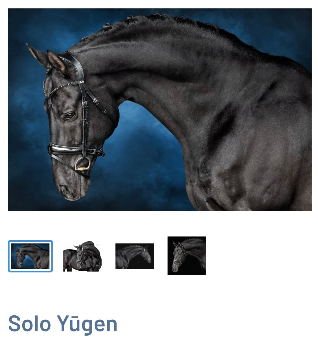 Bride dressage Solo YŪGEN gr. Full