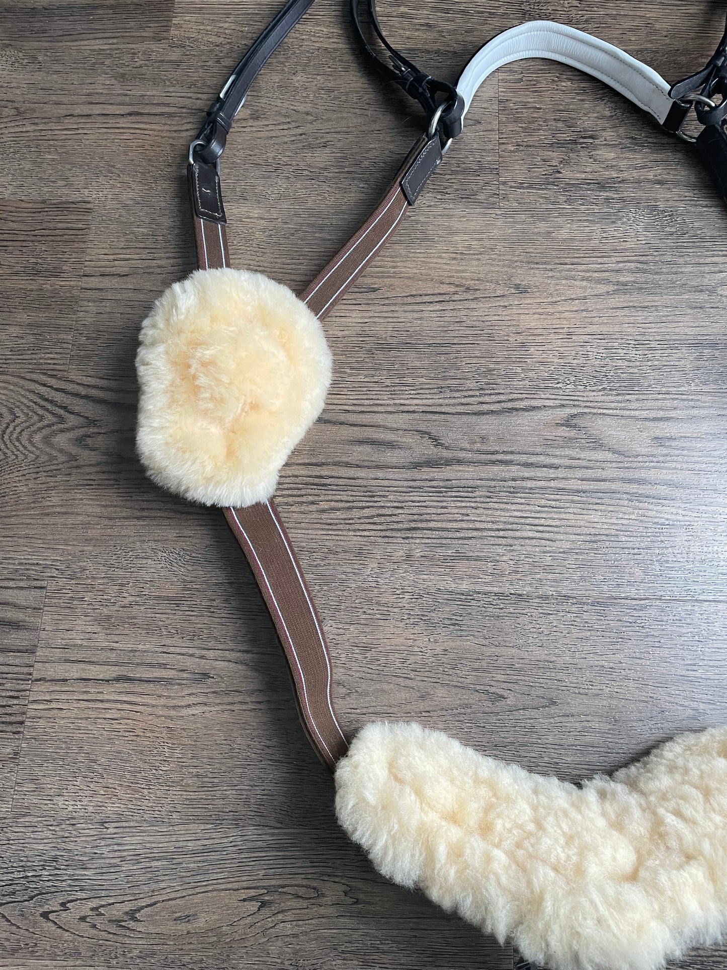 Breastplate 5 points