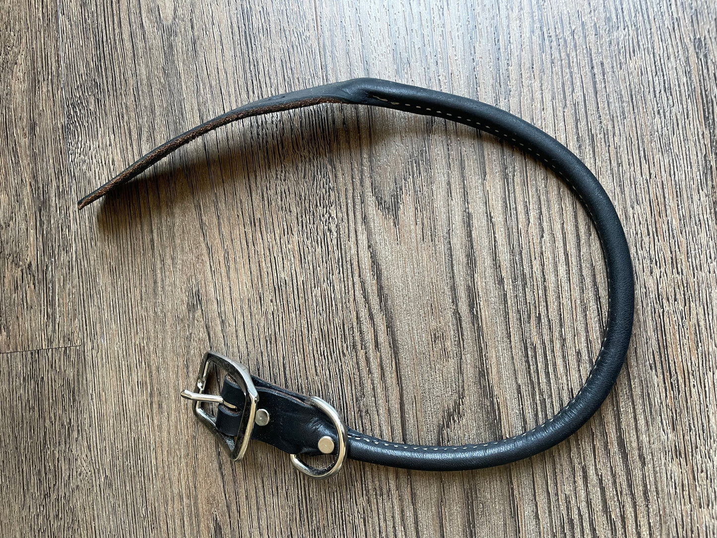 Collier pour chien gr. 21po
