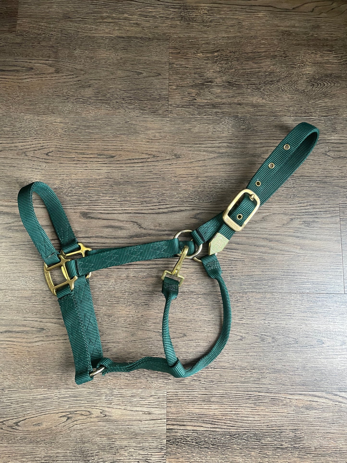 Licou Hamilton vert gr. Full