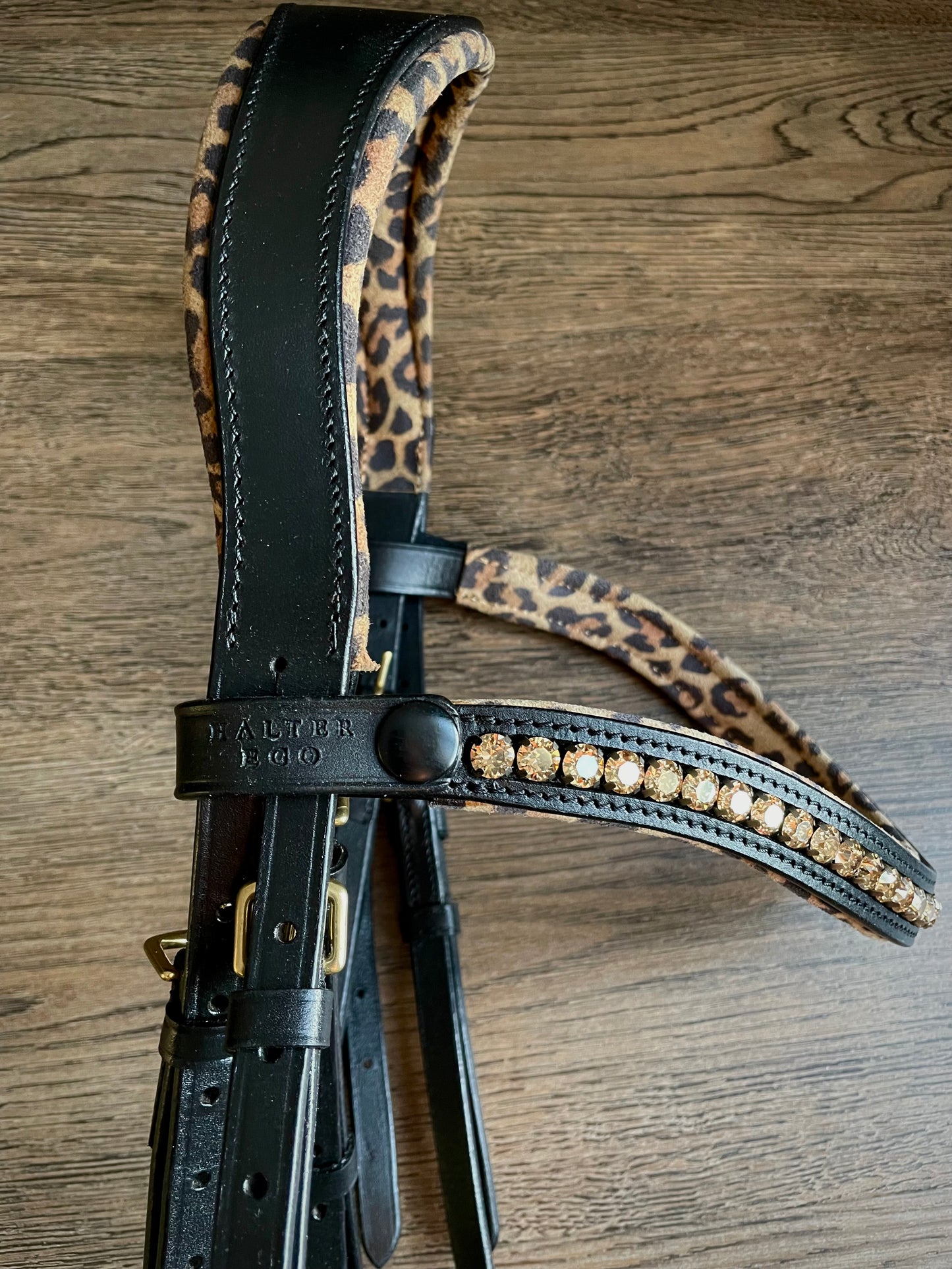 Bride dressage de collection Halter Ego