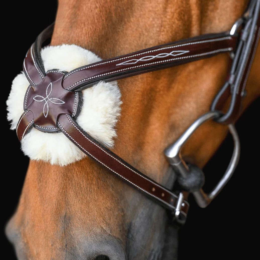 Bride sauteur SOLO Equine gr. Full