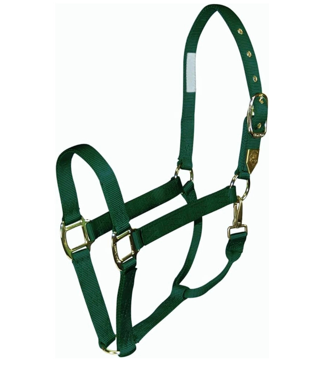 Licou Hamilton vert gr. Full