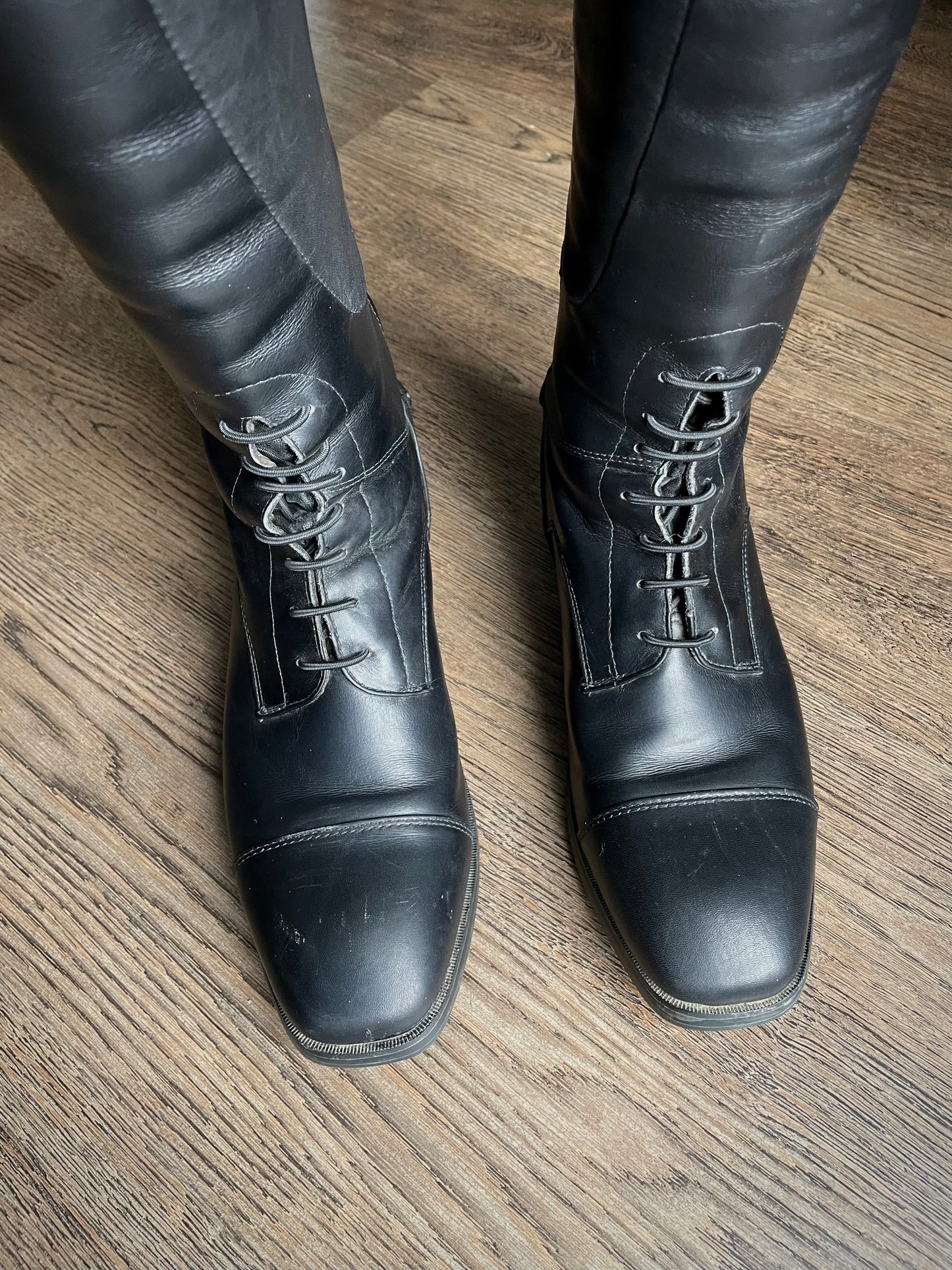 Bottes Ariat Monaco field zip gr. 7.5 US