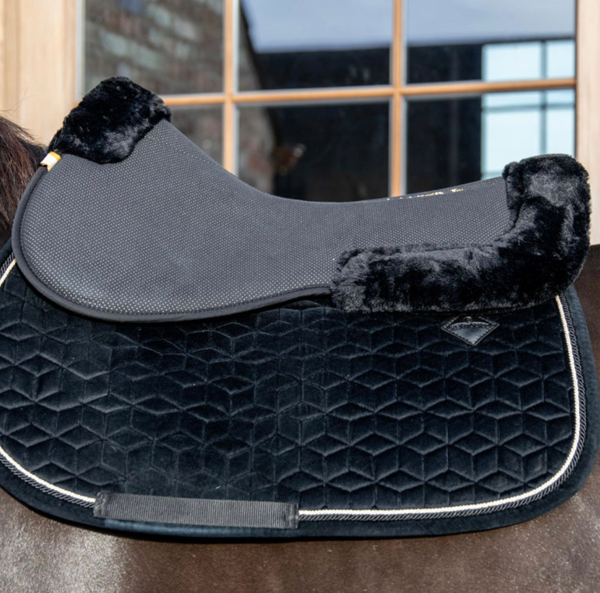 Half pad Kentucky gr. Large
