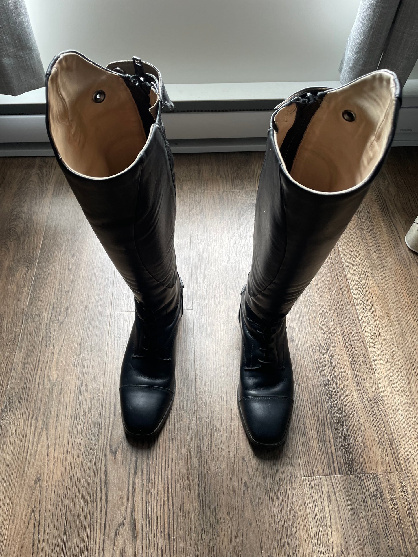 Bottes Ariat Monaco field zip gr. 7.5 US