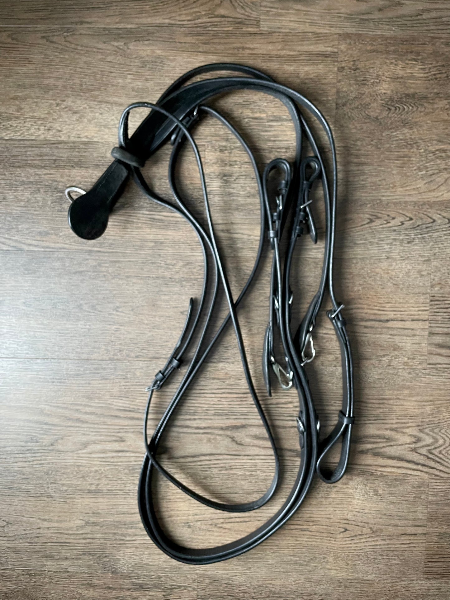 Martingale + rênes olympiques (cuir noir)