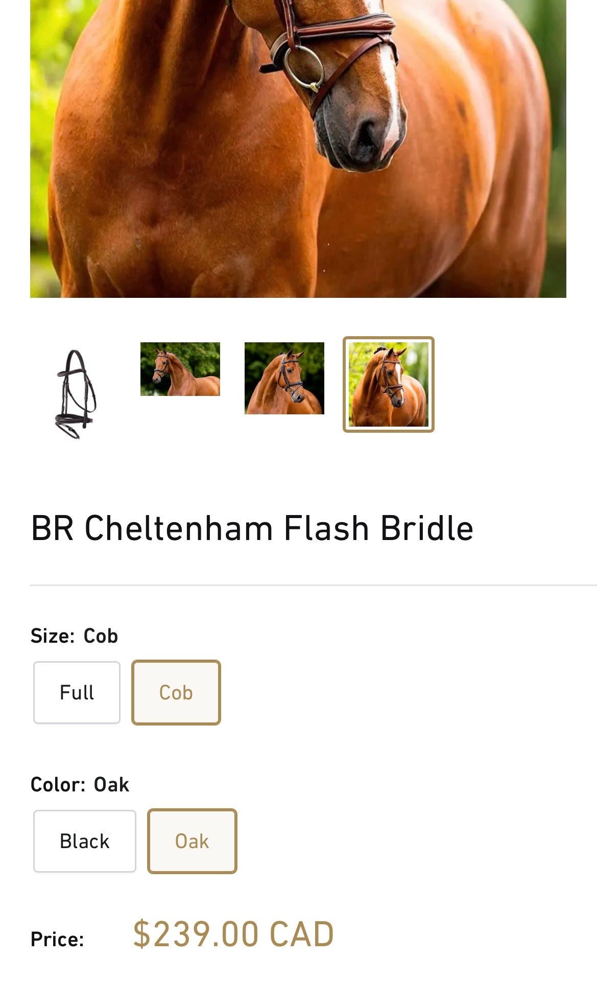 Bride BR Cheltenham avec rênes gr. COB