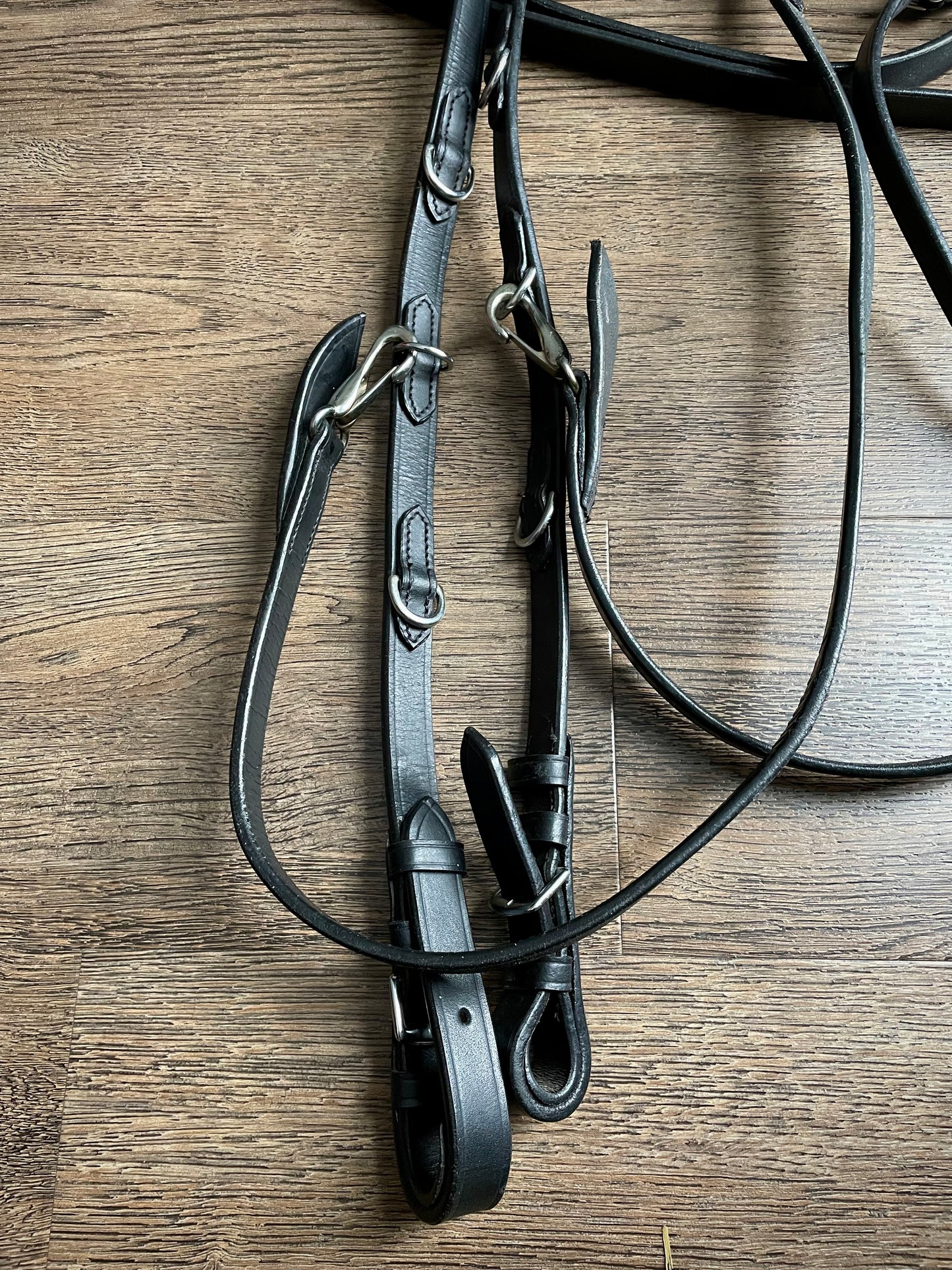 Martingale + rênes olympiques (cuir noir)