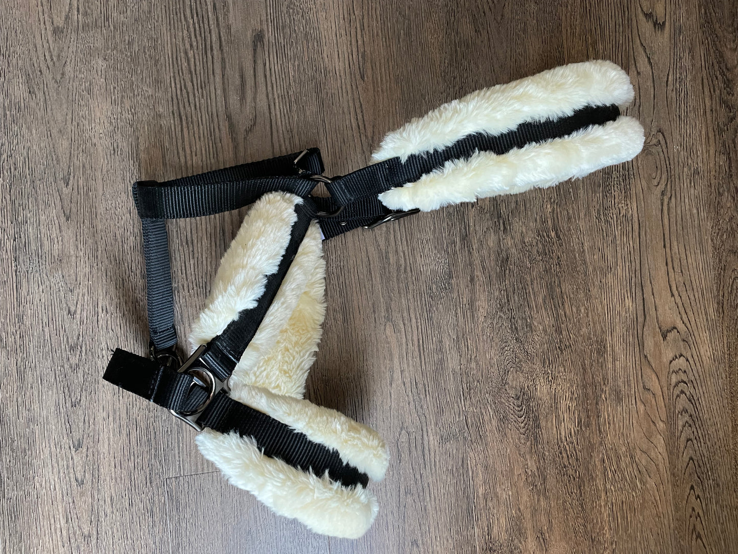 Licou mouton Fouganza *NEUF* gr. Full
