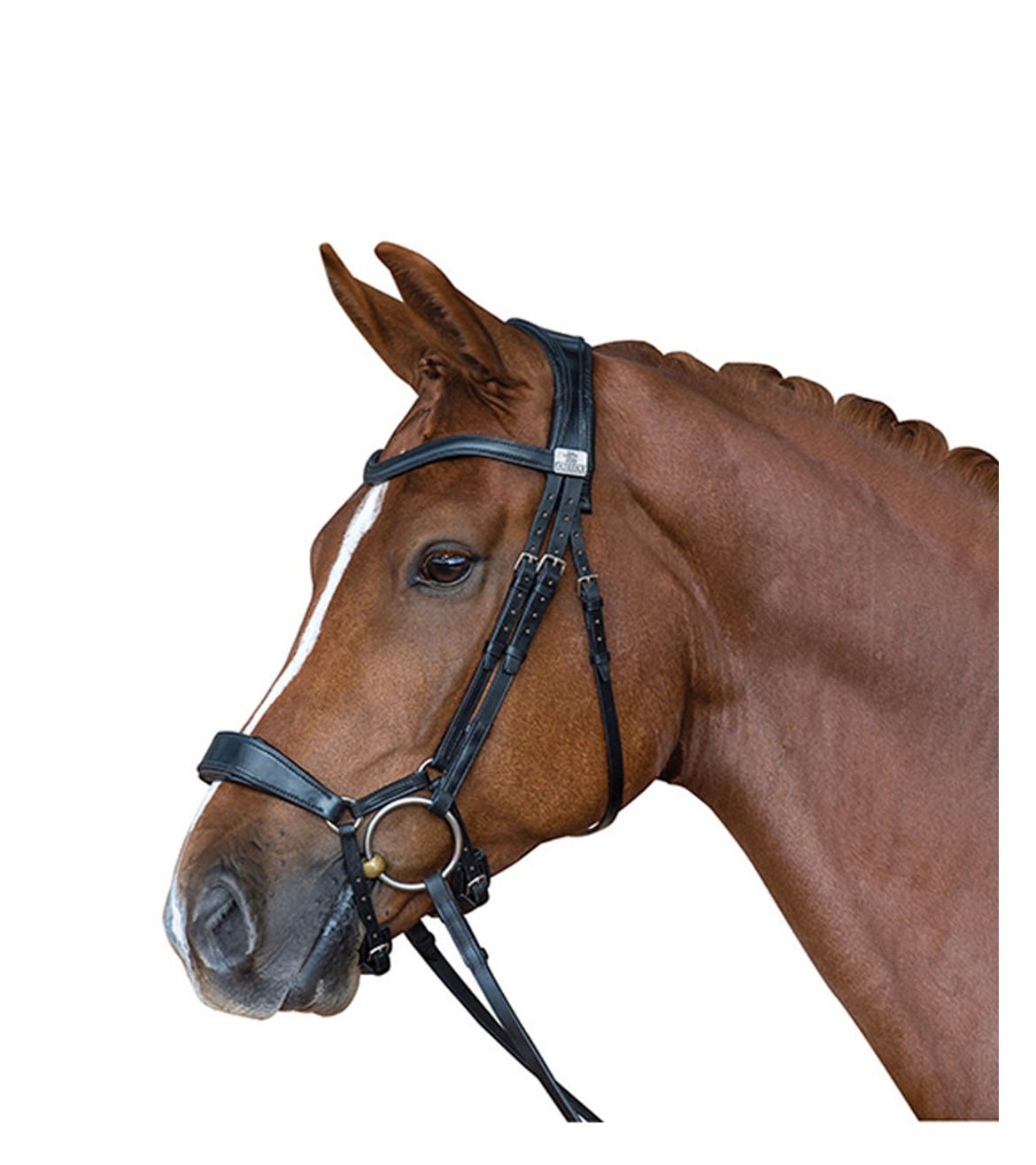 Bride dressage ⚜️FAIRFAX⚜️