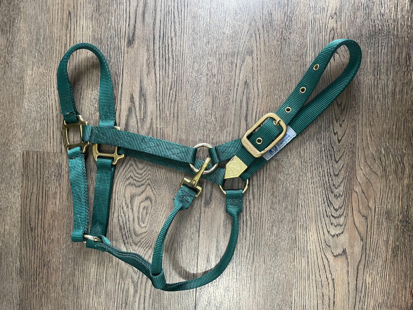 Licou Hamilton vert gr. Full