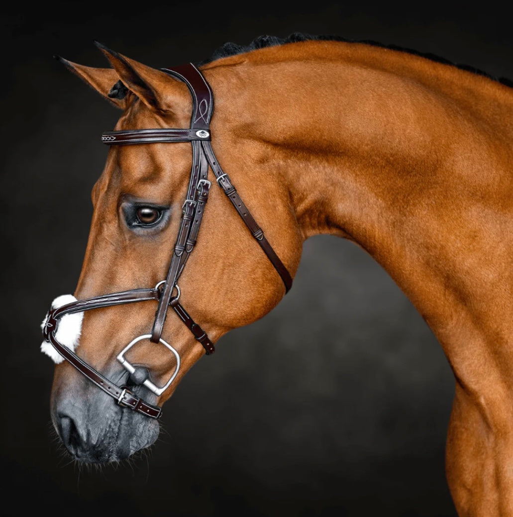 Bride sauteur SOLO Equine gr. Full