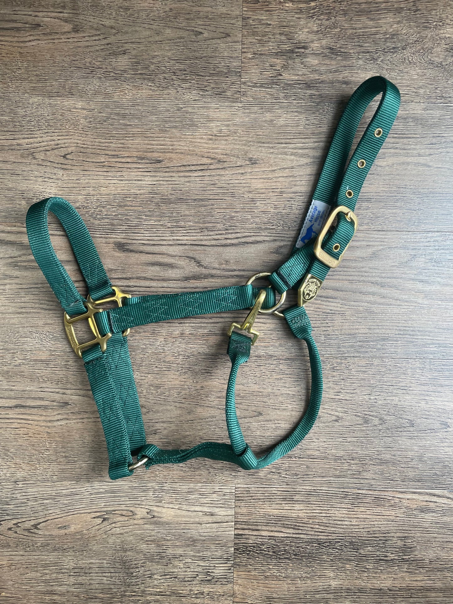 Licou Hamilton vert gr. Full