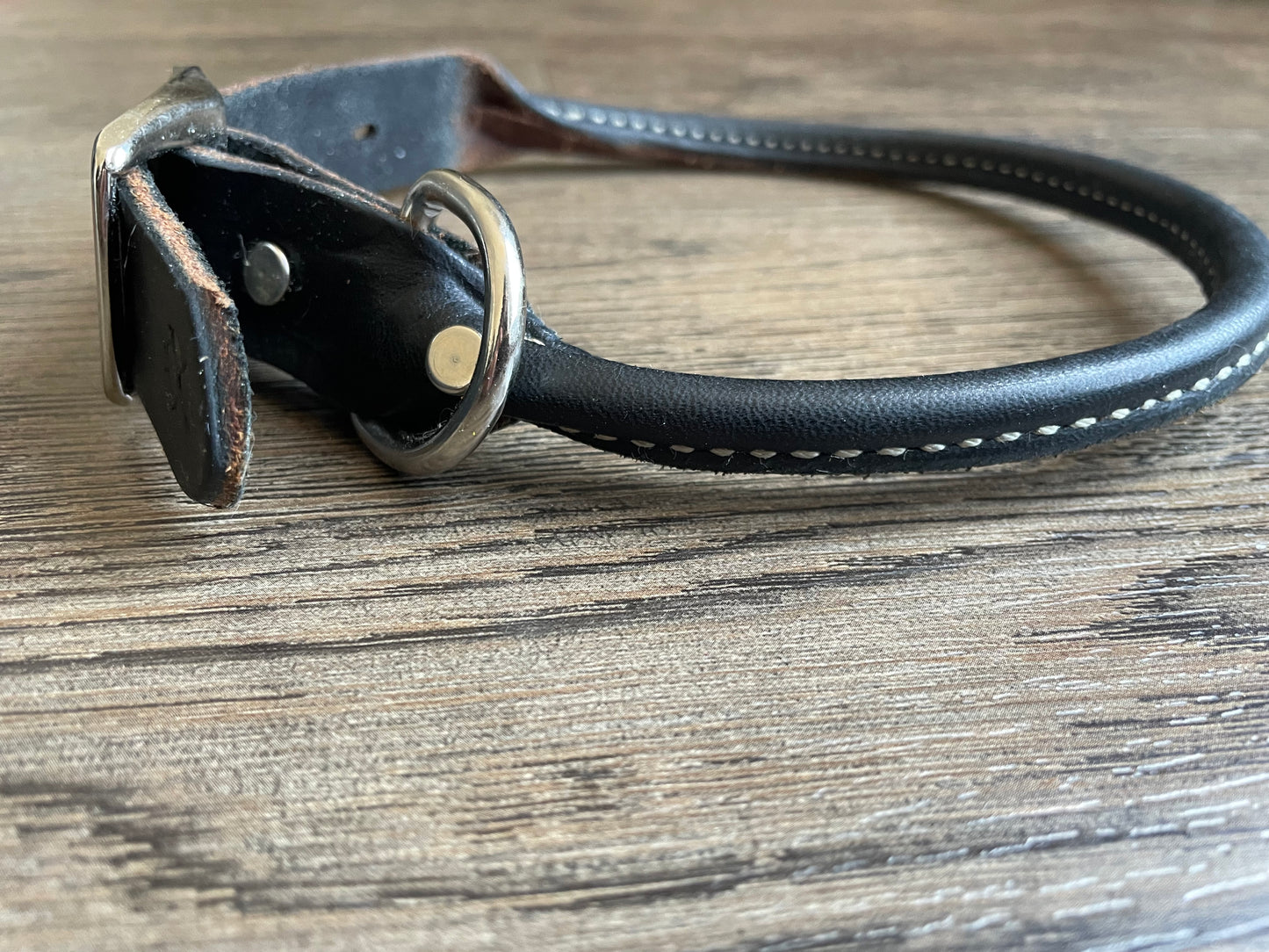 Collier pour chien gr. 21po