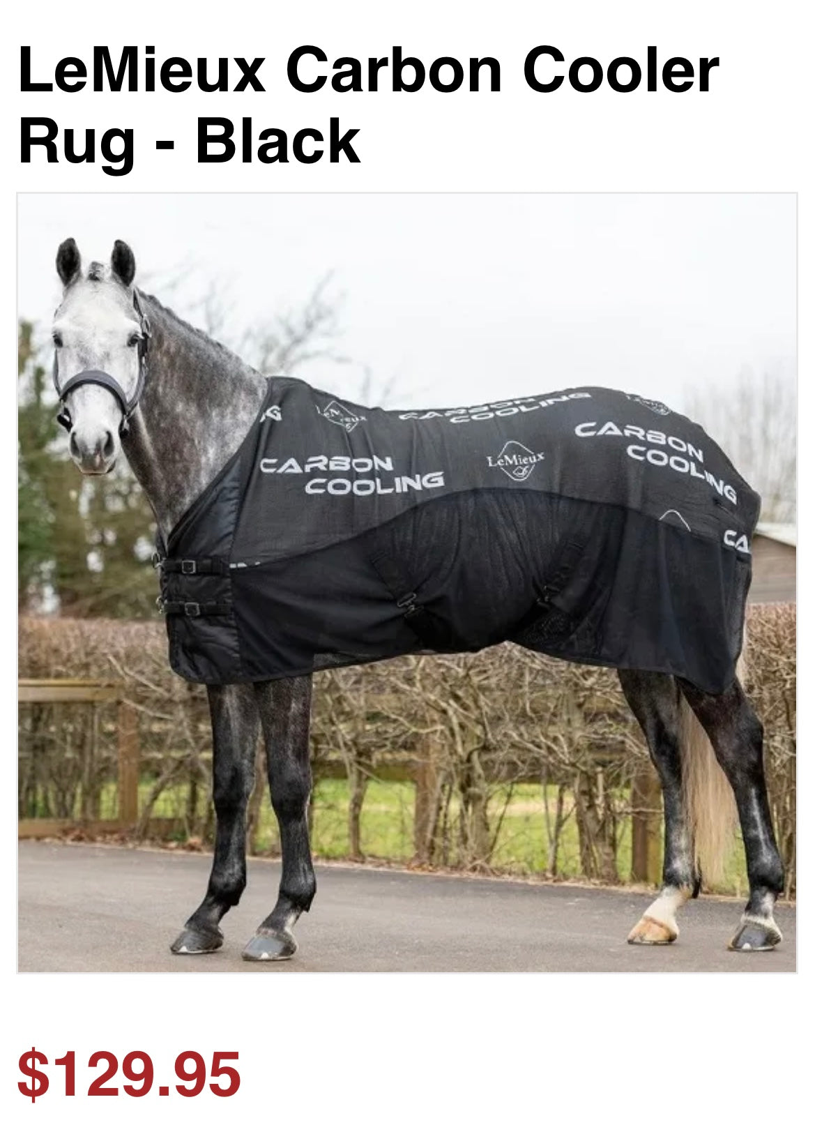 Cooler Lemieux « Carbon Cooling » gr.81