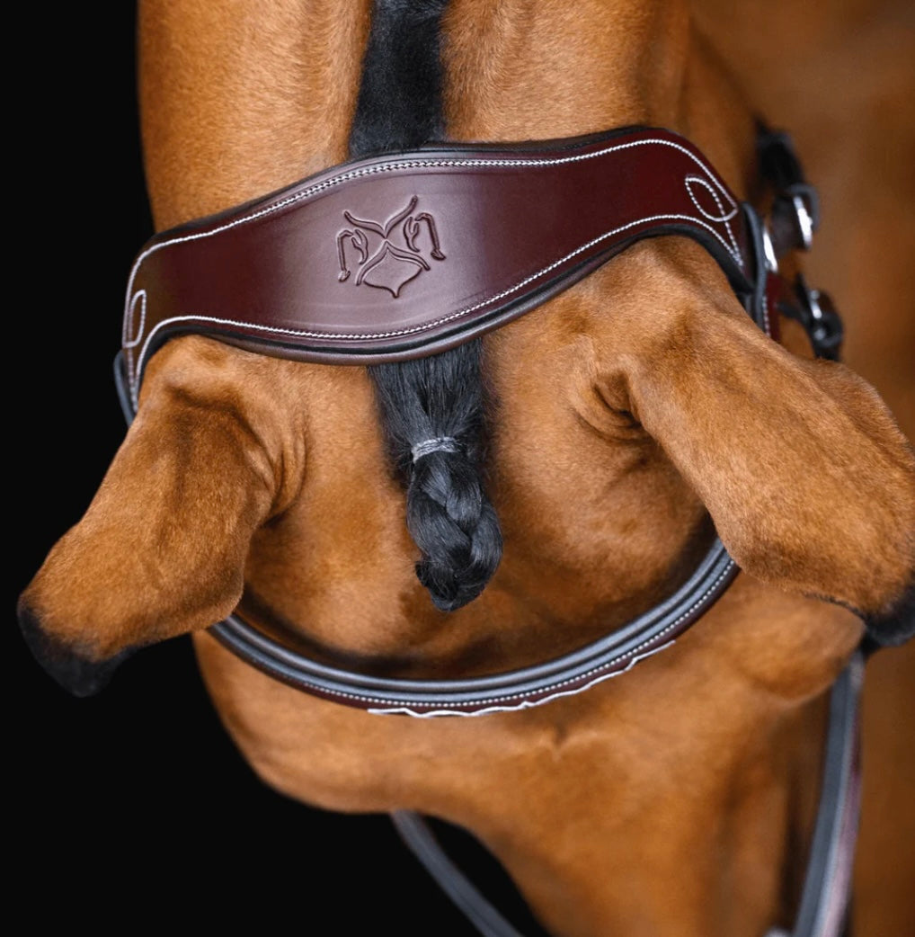 Bride sauteur SOLO Equine gr. Full