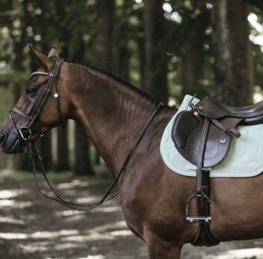 Tapis AP Kentucky