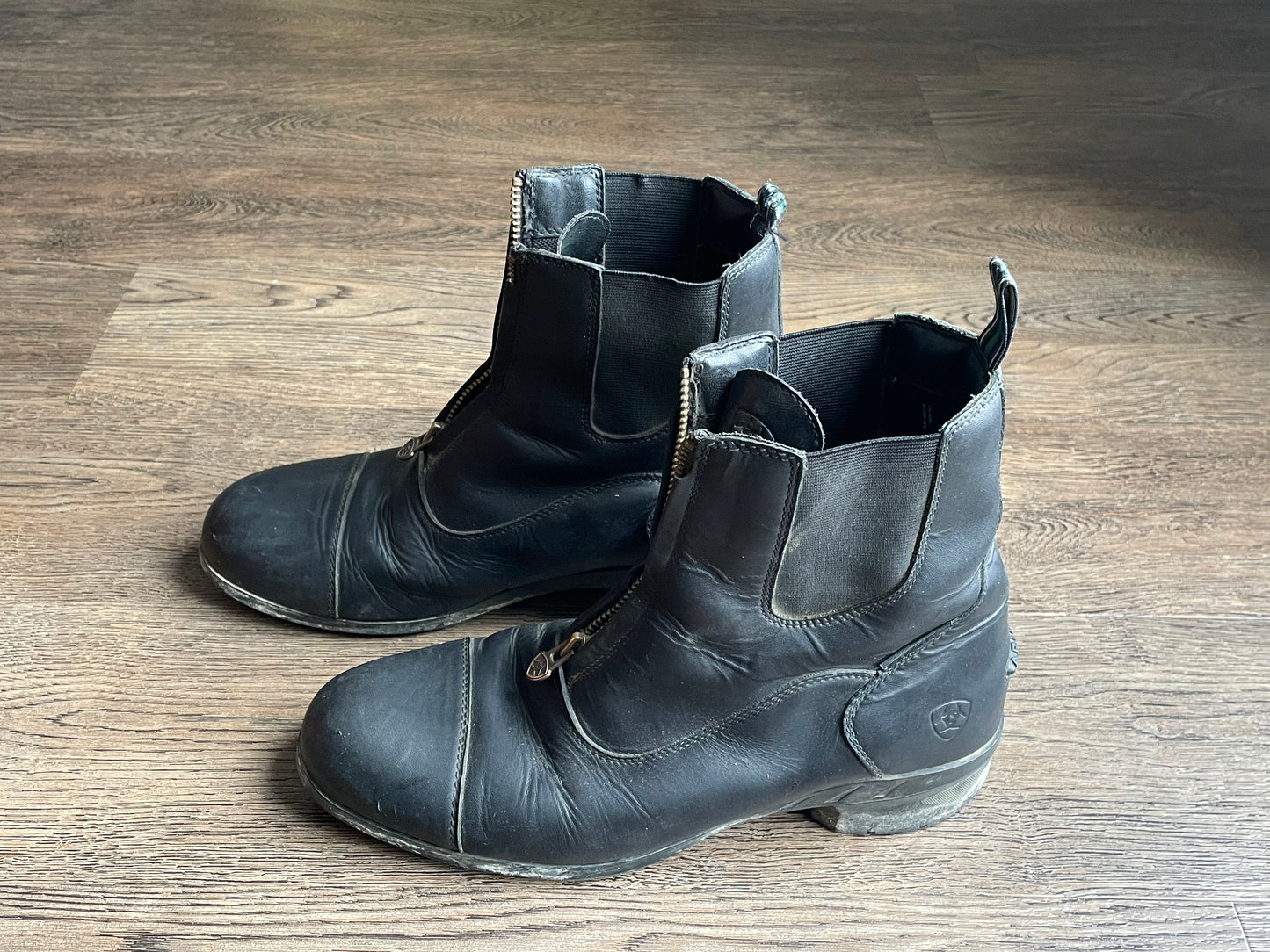 Paddock boots Ariat gr. 9.5 (*fit 10.5)