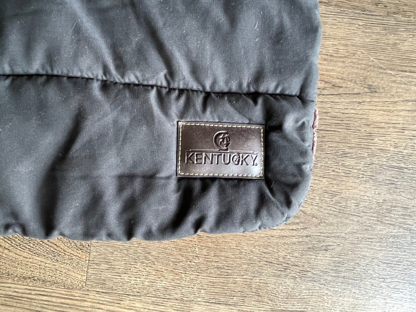 Protège poitrail Kentucky
