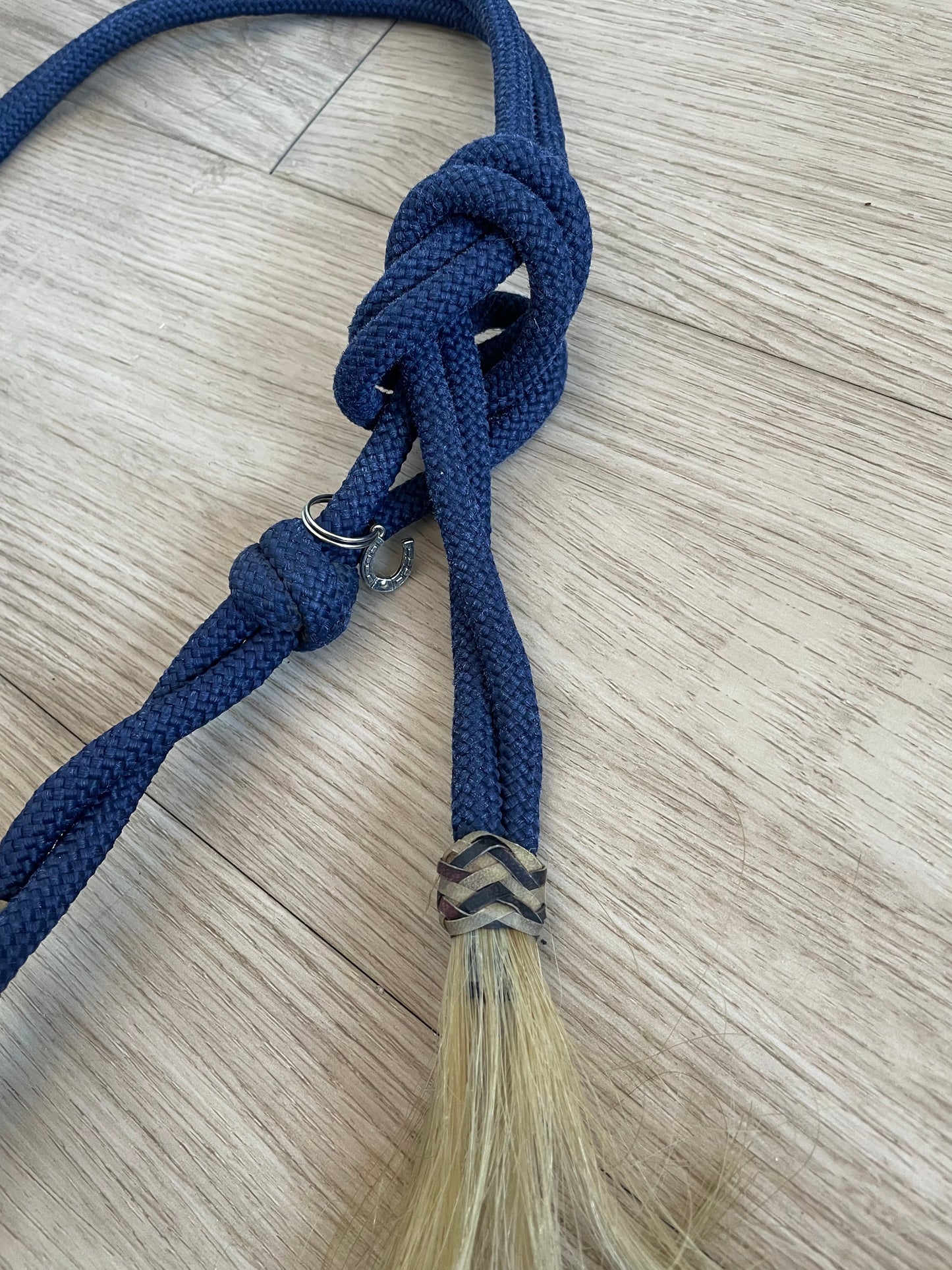 Licou éthologique