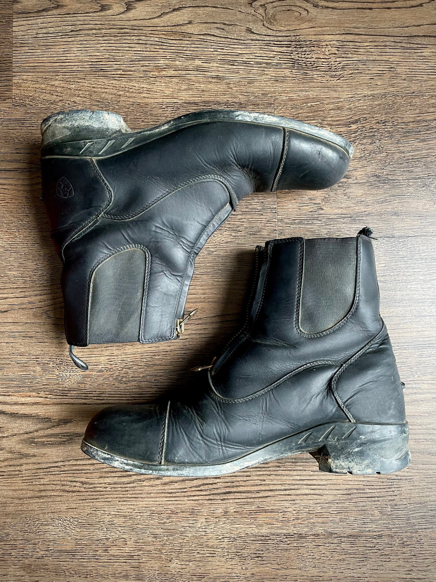 Paddock boots Ariat gr. 9.5 (*fit 10.5)