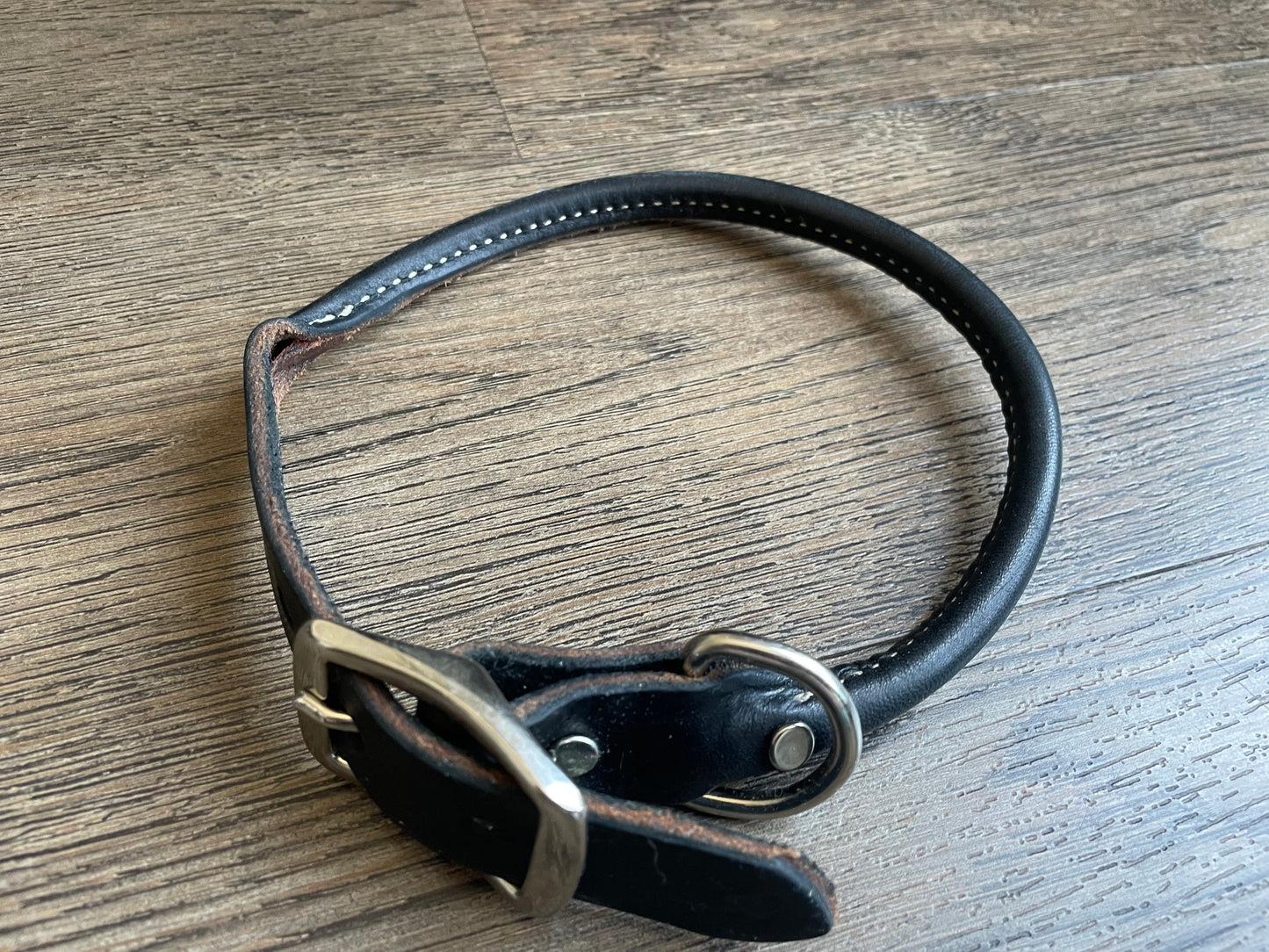 Collier pour chien gr. 21po