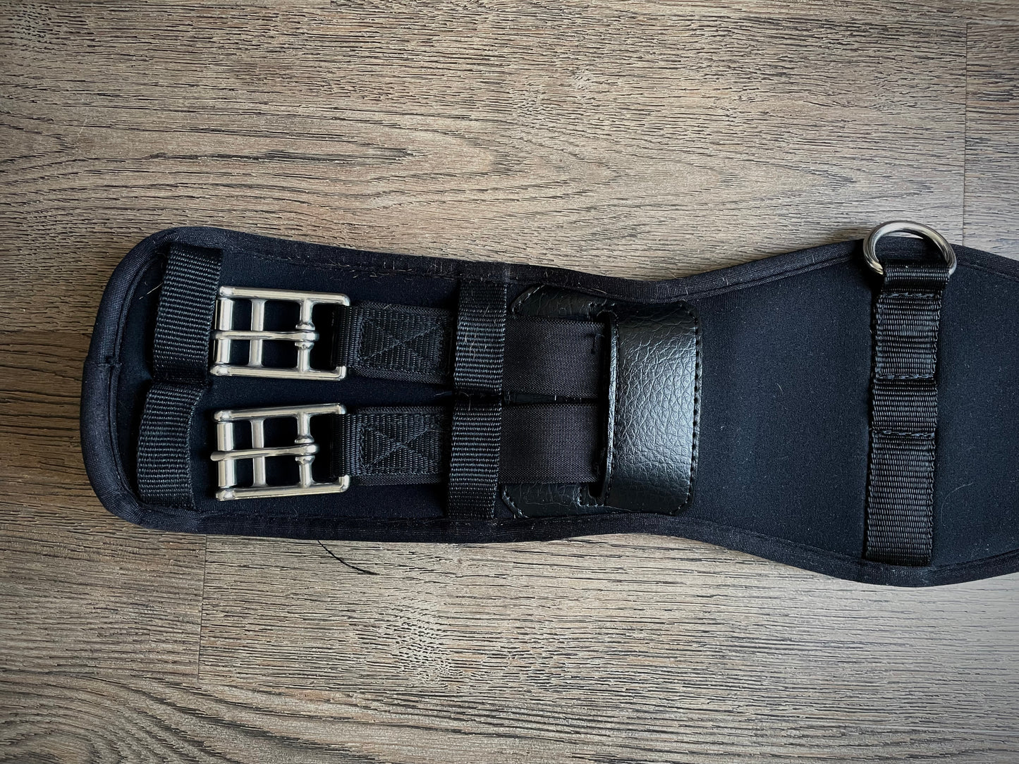Sangle dressage 22po