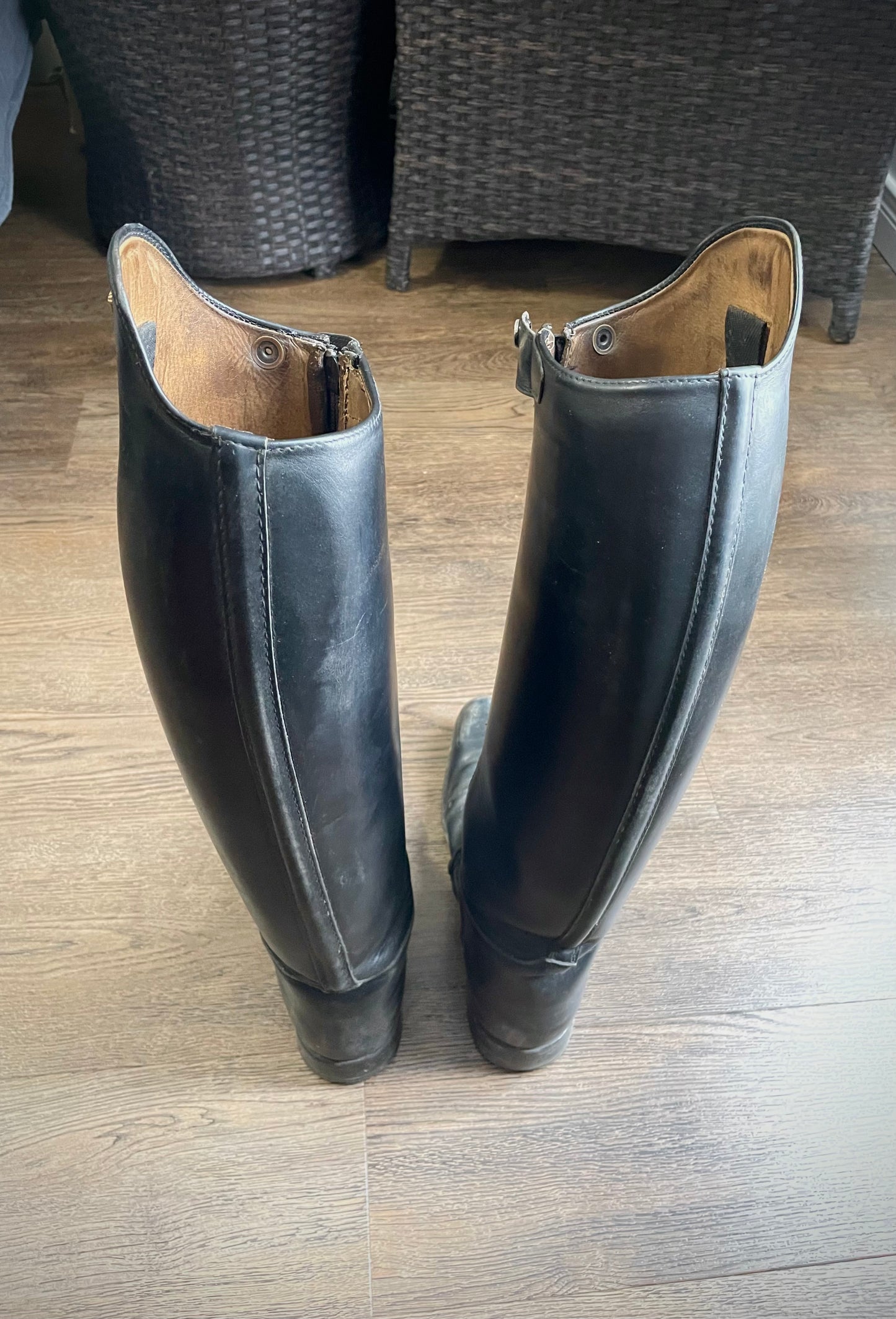 Bottes dressage KÖNIGS gr. 39