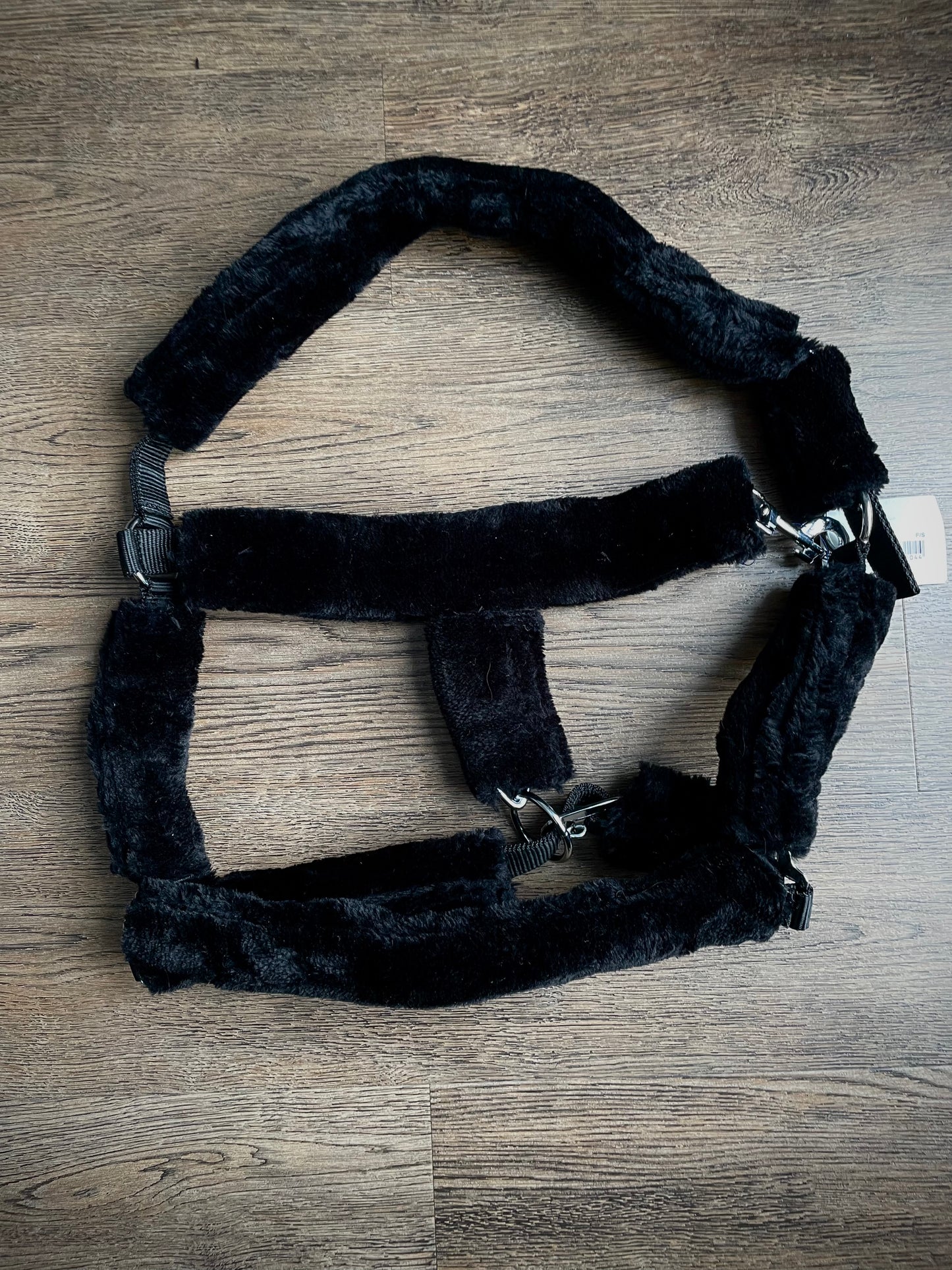 Licou *NEUF* gr. Full/cheval