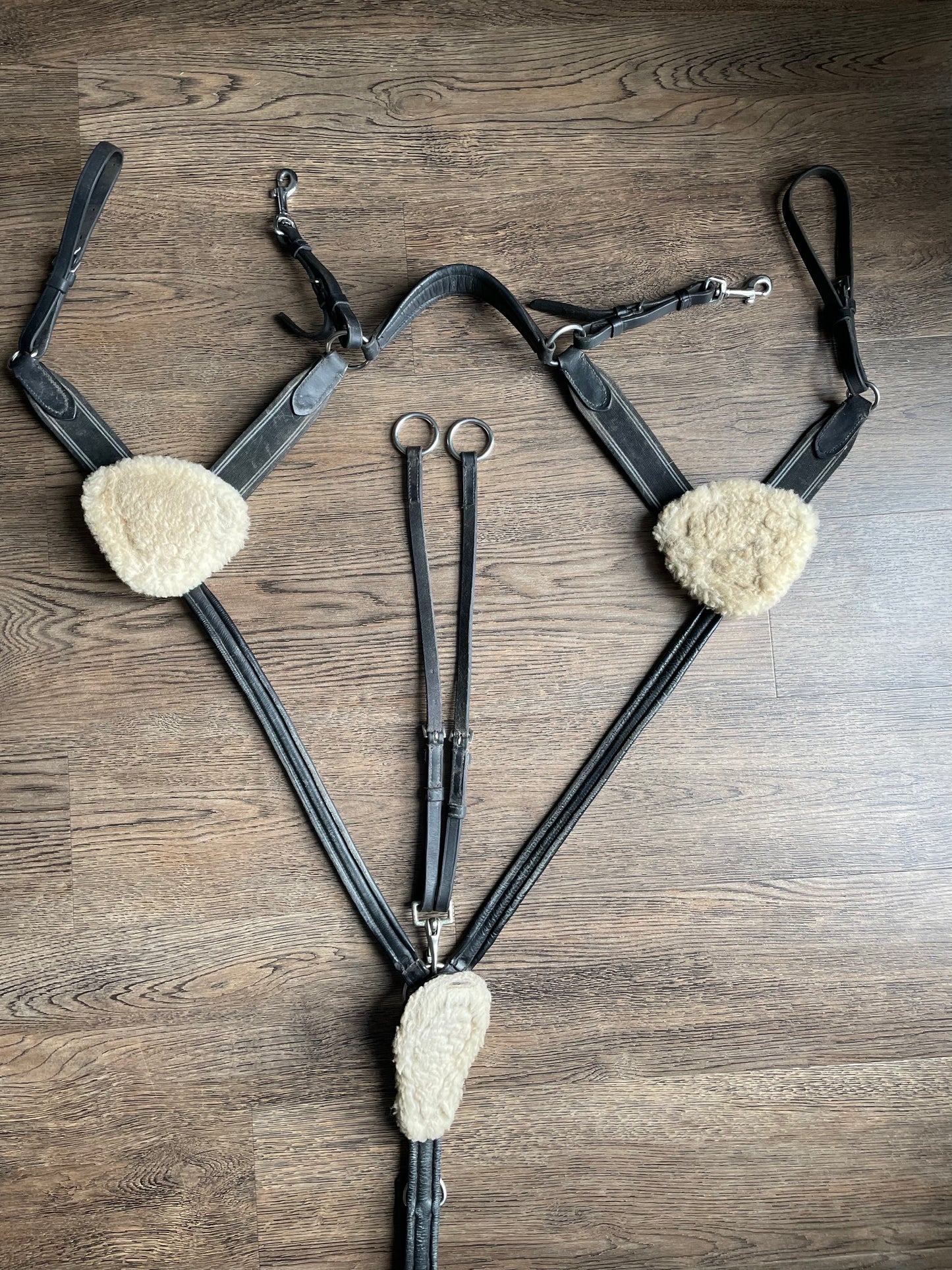 Collier 5 points Shire Equestrian gr. Full