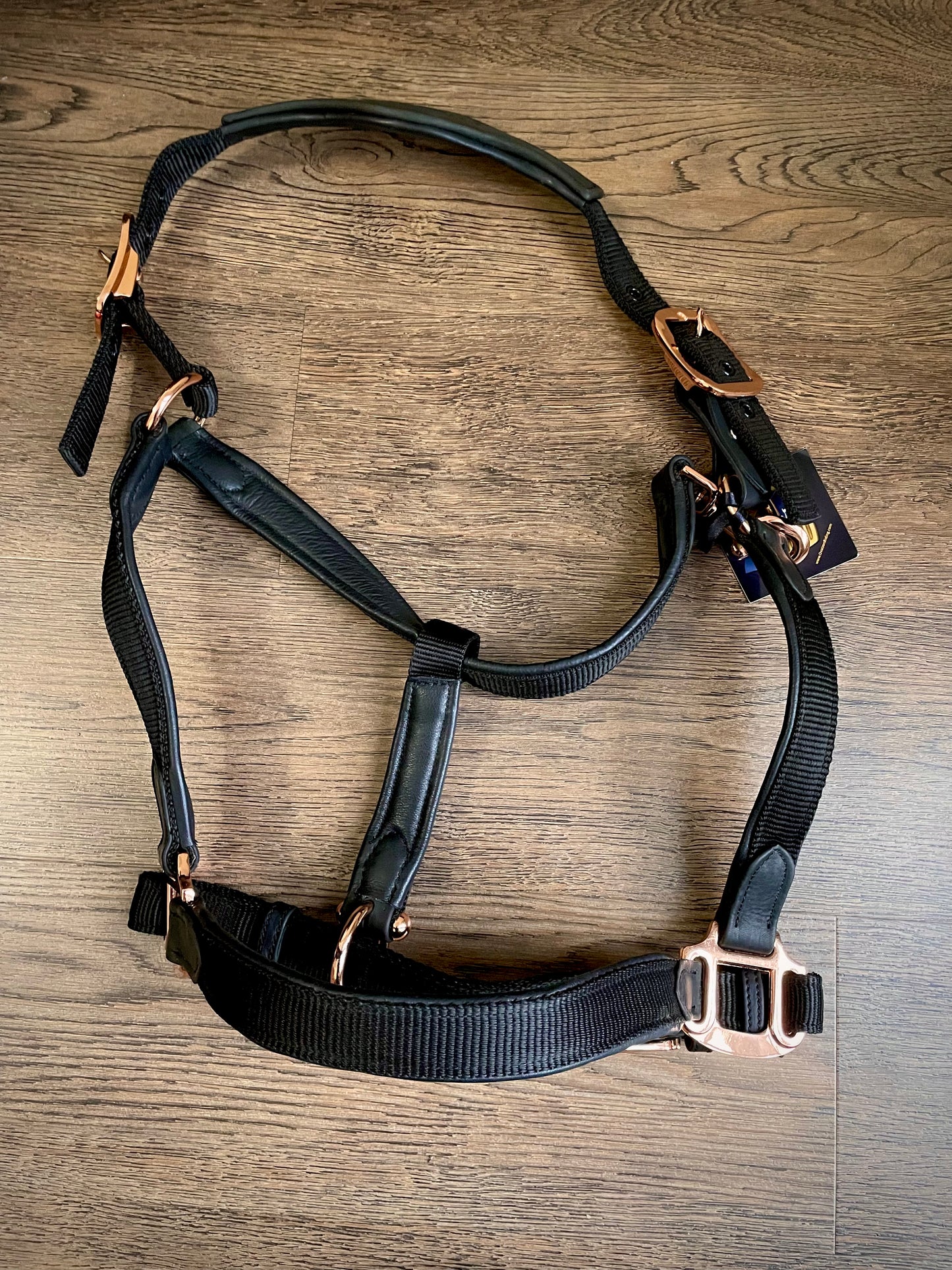 Licou Ovation Luxor Noir/Rose gold (WB)