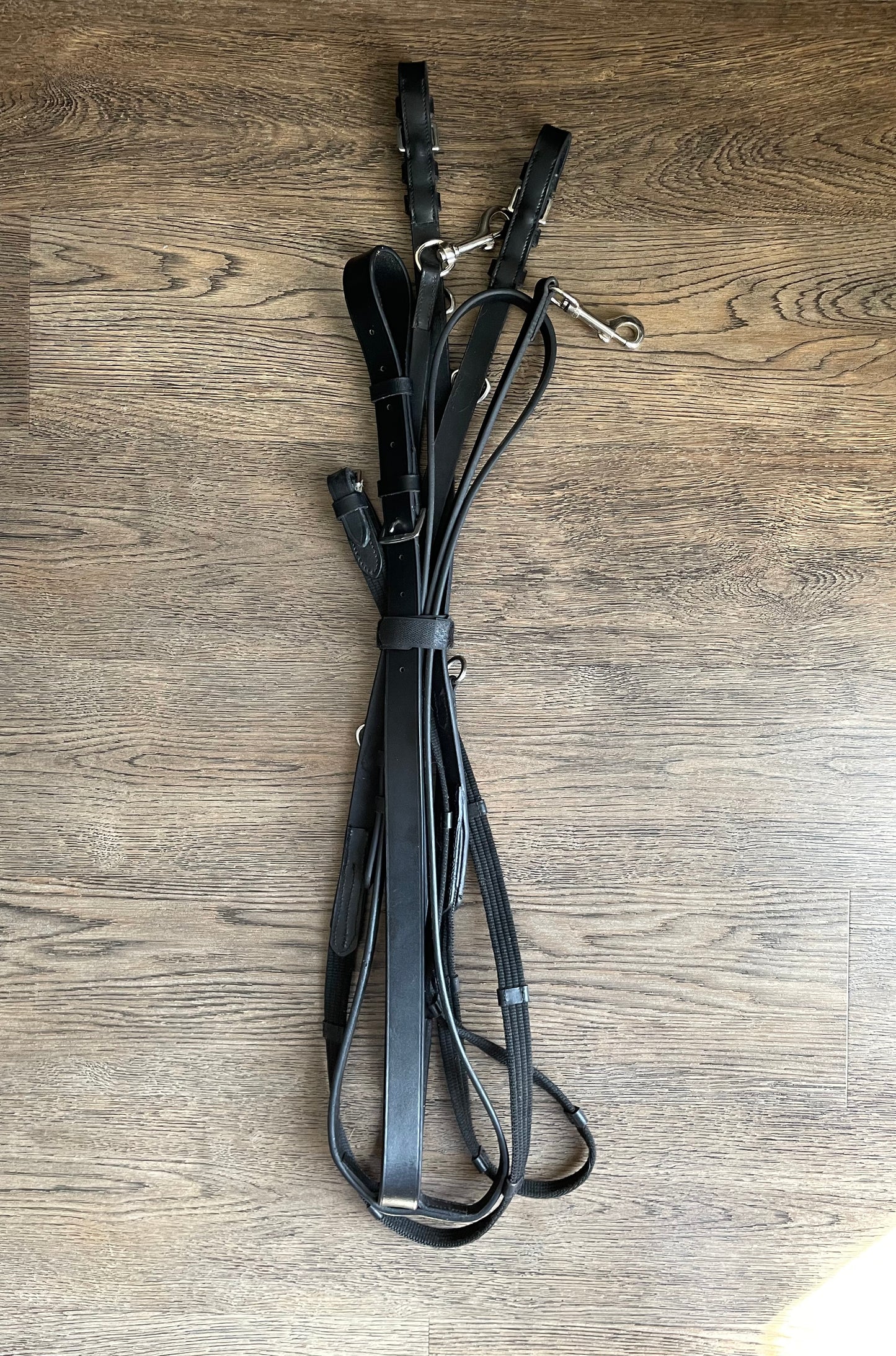 Martingale et rênes olympiques gr. Full