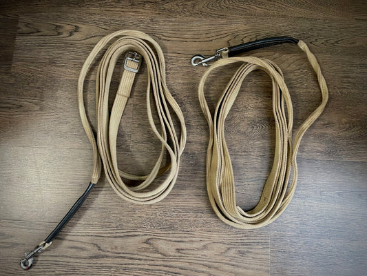 Longues rênes (travail au sol)