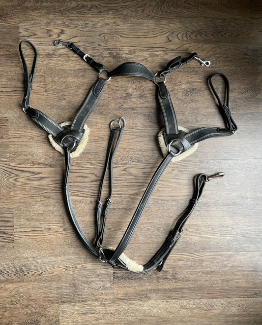Collier 5 points Shire Equestrian gr. Full