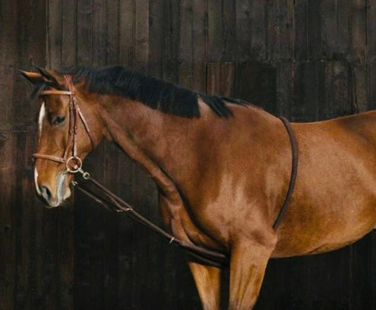 Enrênement ajustable gr. Full/Cheval *NEUF*
