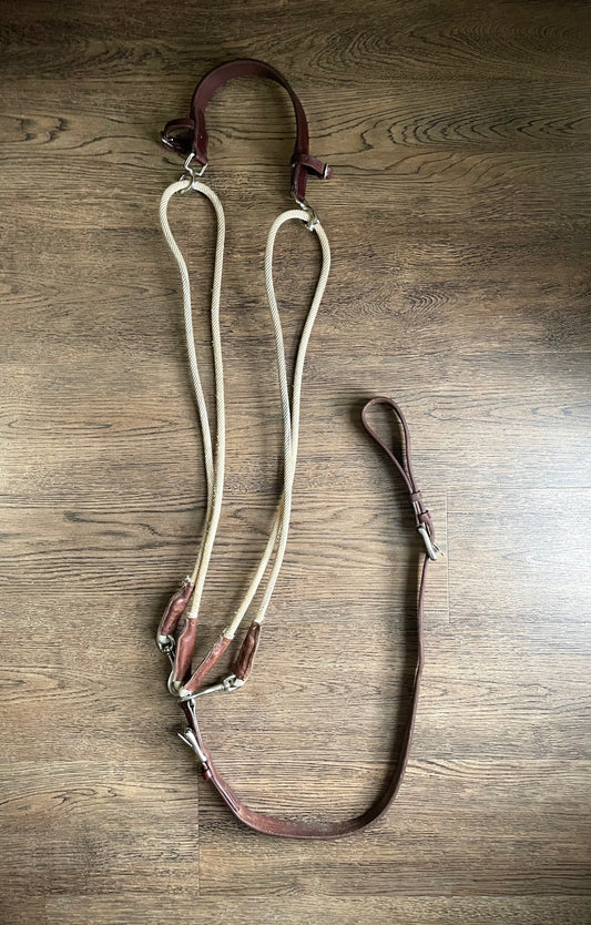 Enrênement De Gogue