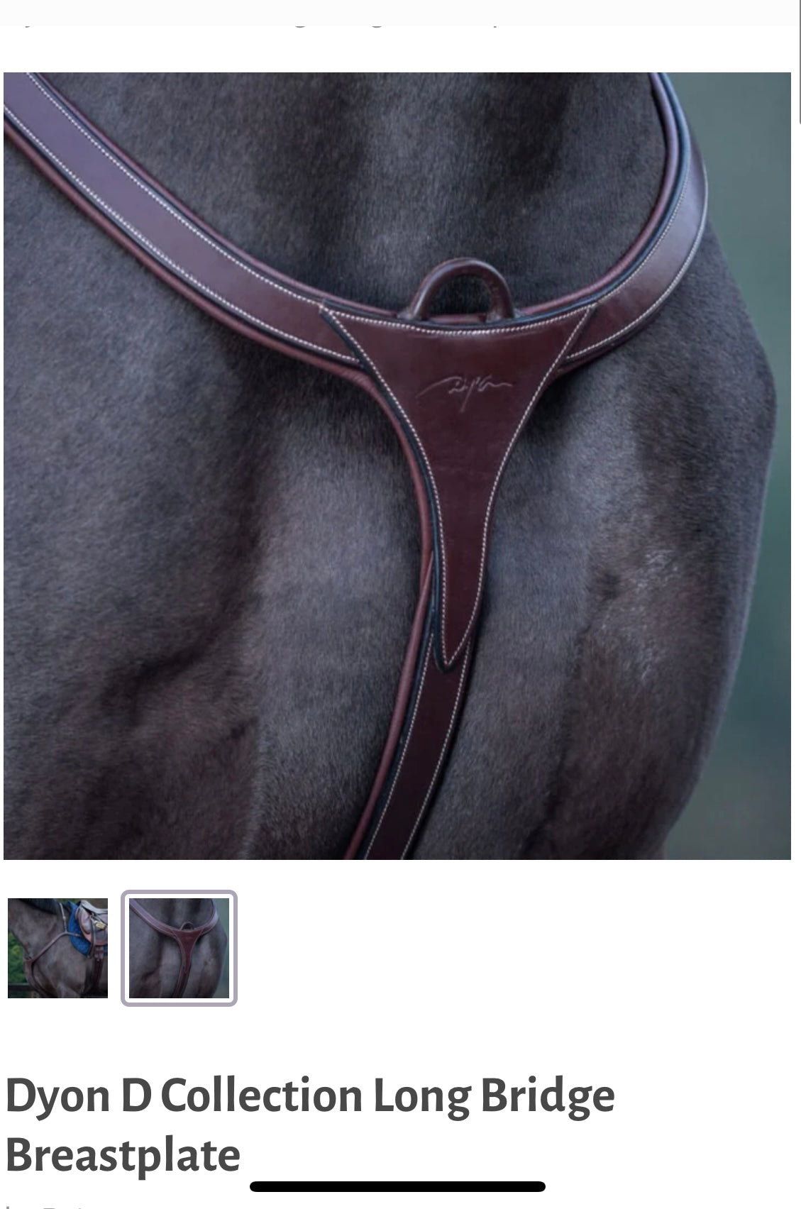 Dy’on long bridge breastplate