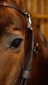Blinkers Dy’on