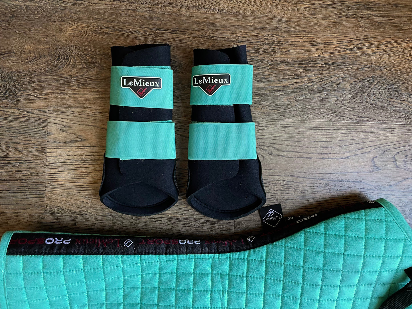 Kit Lemieux (turquoise)