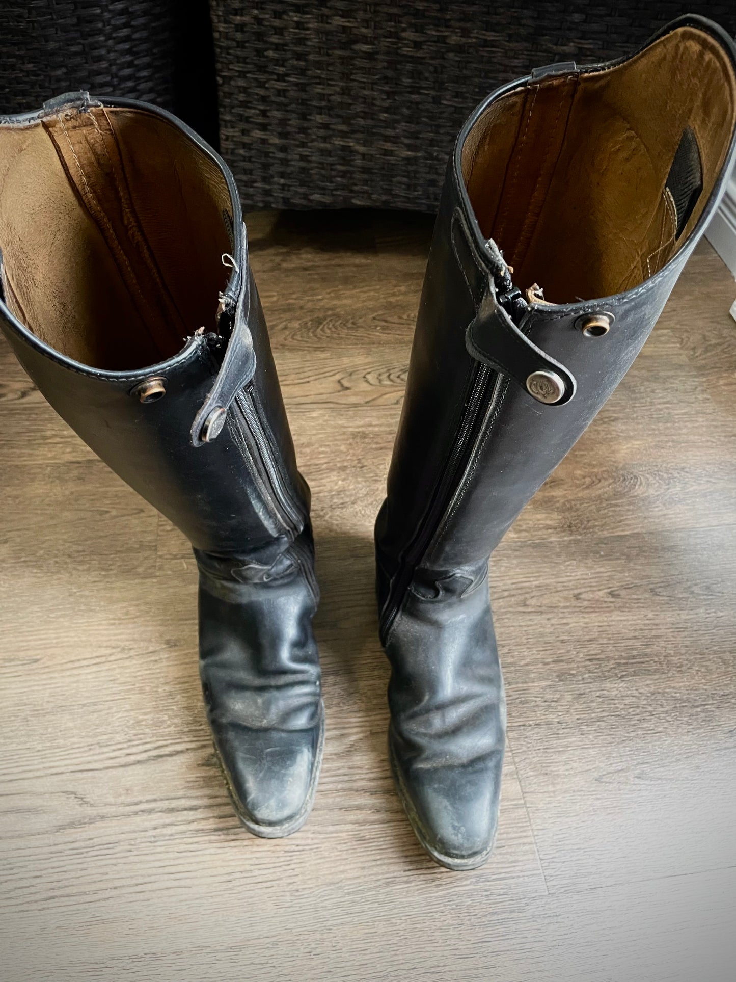 Bottes dressage KÖNIGS gr. 39