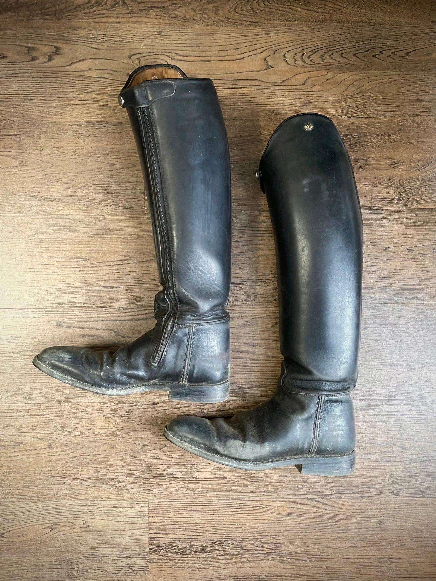 Bottes dressage KÖNIGS gr. 39